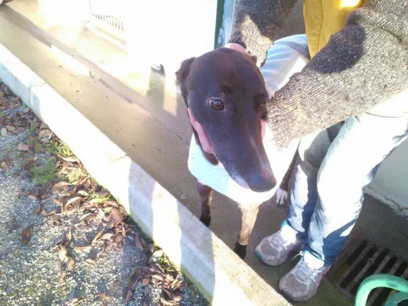 10325657 735161996567658 8726735382999118522 n