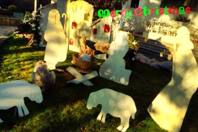 10325688 1694281067495396 1155121058495046691 n