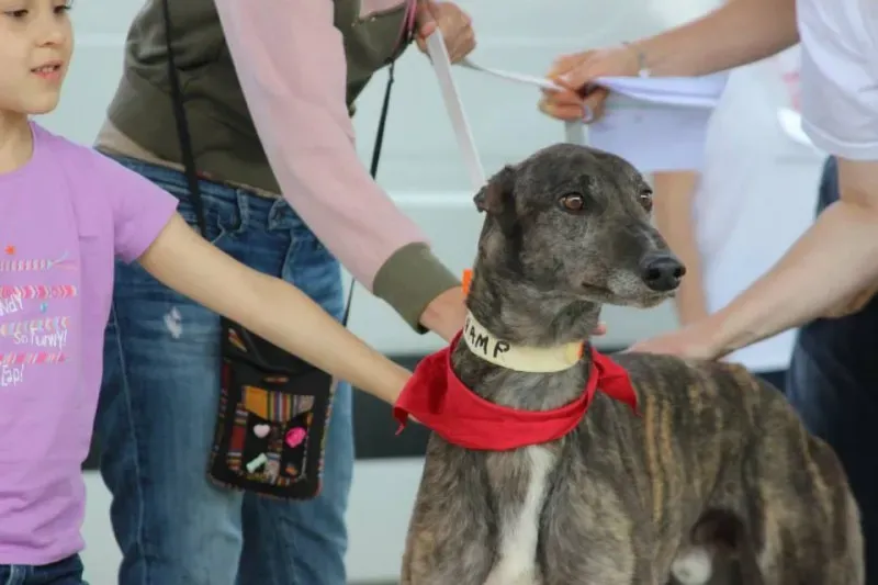 10329032 834200973330426 7594800471241220451 n