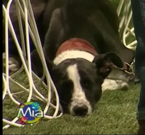 10329308 10202437668835432 1771695700287244785 n