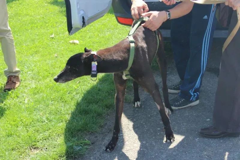 10330291 640699929347199 5128438807207342902 n