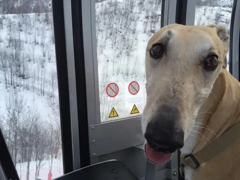 10330478 575930769230307 2498140119847132335 n