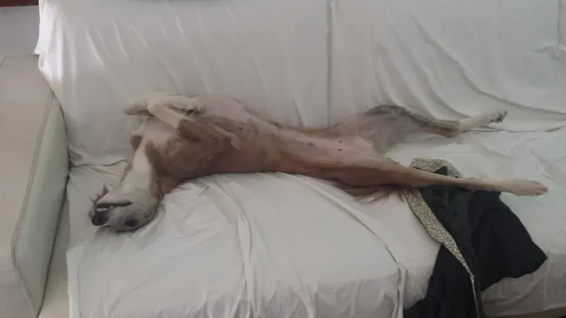 10330493 10208781033193507 7706848482222495756 n