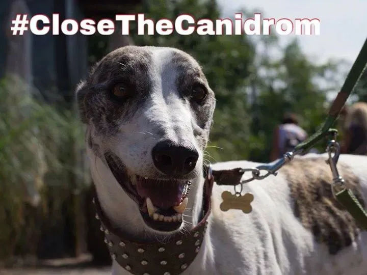 10330510 10205942250487783 2507882485716309941 n