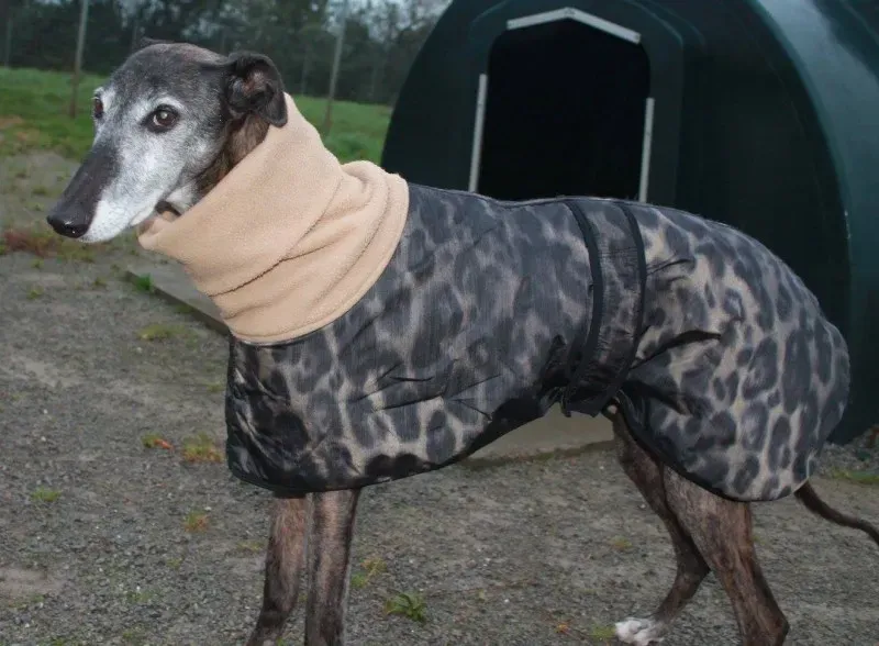 10333276 10152314457960194 6874657702434935063 o1