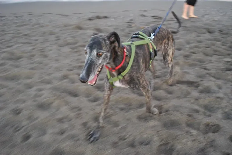 10333434 754100181322885 5824022104886076954 o