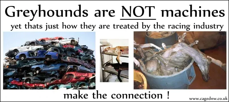 10333700 622795371161935 3596945176499044662 o