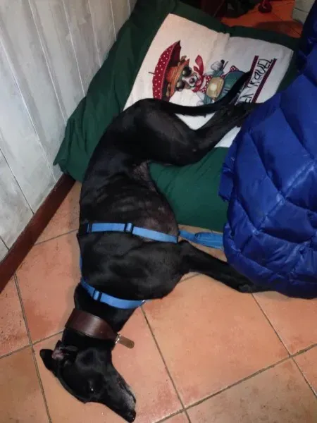 10334282 396250597196877 3758013415964869956 n