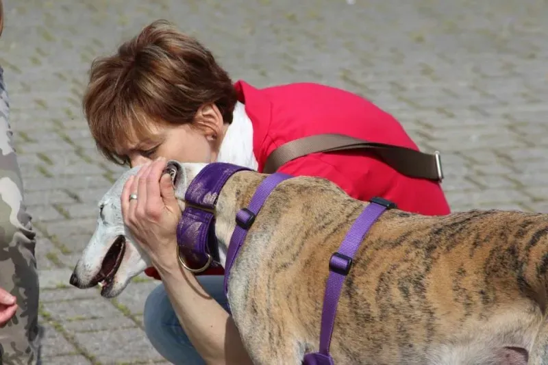 10336750 500623876730693 5750056998756503061 n