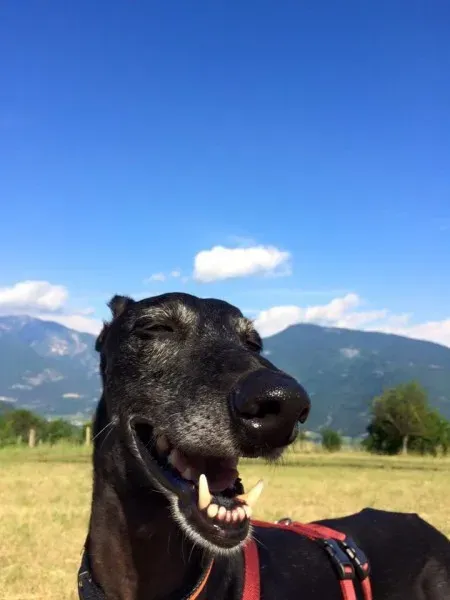 10336795 10153400690853069 5135714427613930755 n