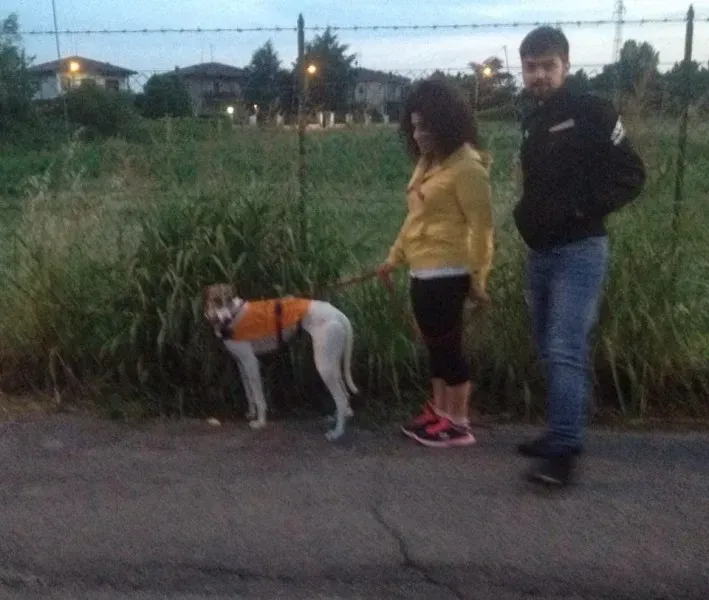 10337719 1451614695158086 4833892079197875993 n1