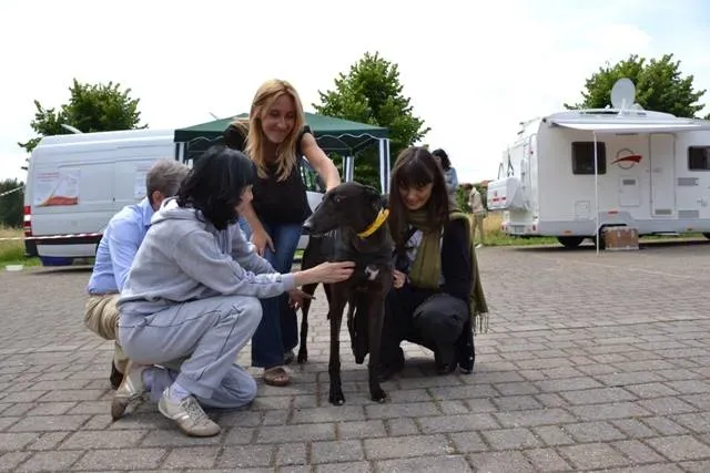 10338322 643649639052228 9069423807107491378 n