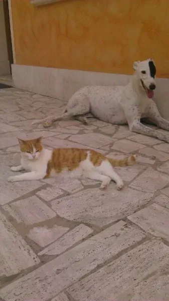 10338956 10203349878501054 1605841508 n