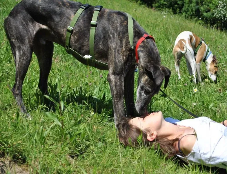 10340129 677044585690050 6545033752873539866 n