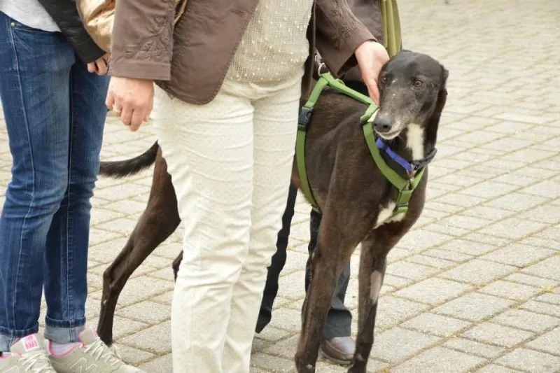 10340136 641745862575939 7252027681220283493 n