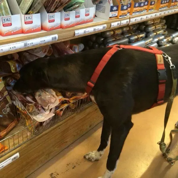 10340166 789936757691047 3170718807064462206 n