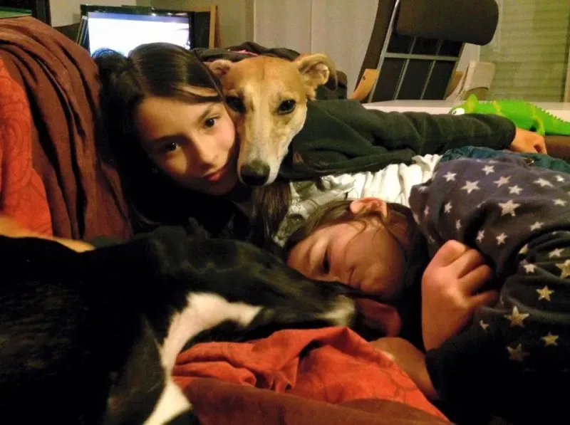 10341968 10207845055863242 1782853941777498975 n