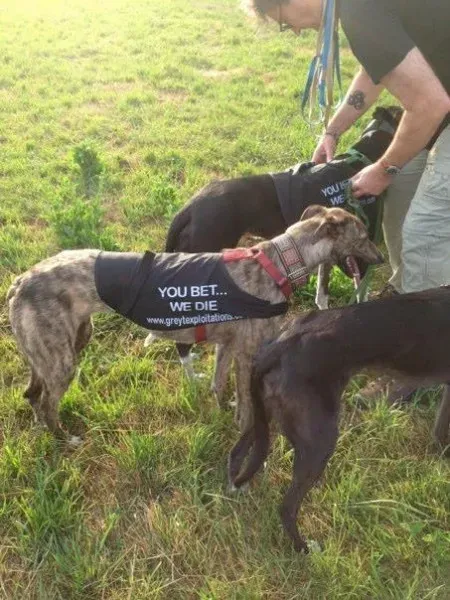 10341 473836352707973 297563355 n