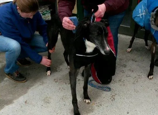 10342731 10204803725430788 385135948 n