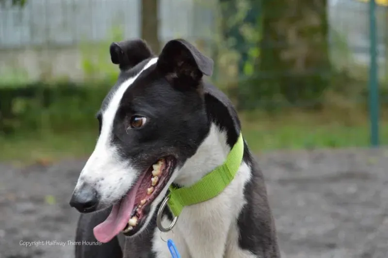 10342996 557320911042888 3836286276134039745 n