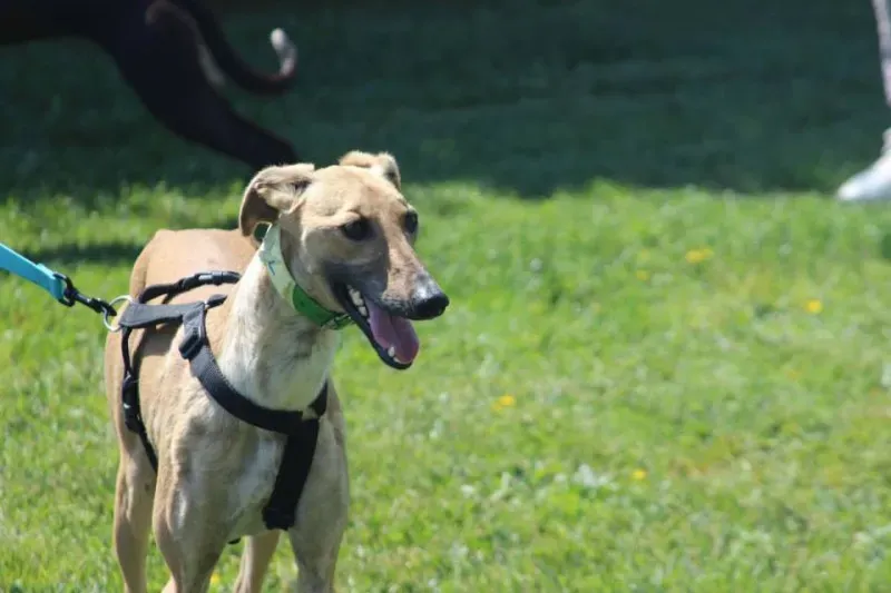 10344797 640701222680403 1908893385872607159 n