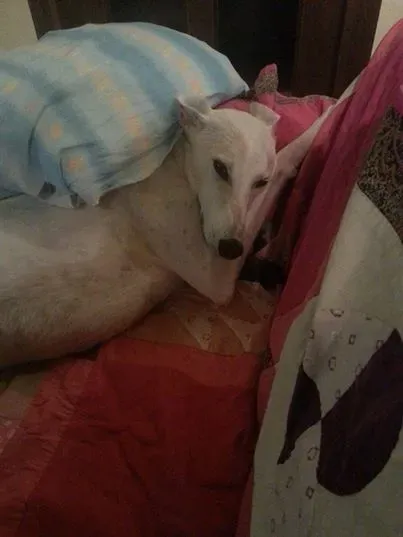 10346002 10203953662190758 4190589746889017423 n