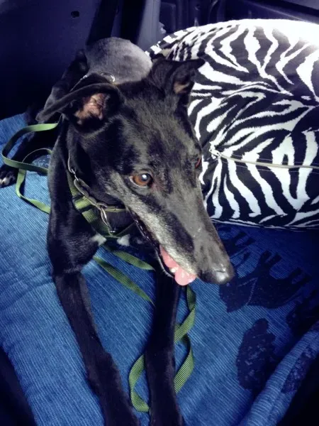 10346200 862724790412243 2367301022322203151 n