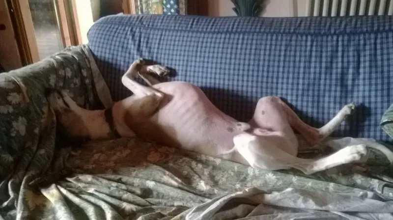 10346519 703165003078008 1830522311458792539 n