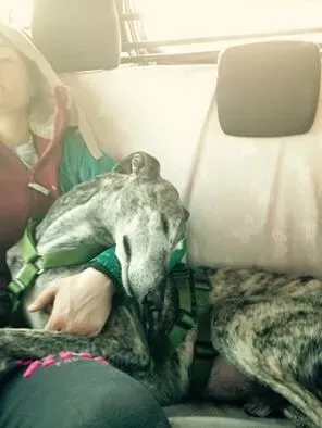 10348188 10208997349479228 6197113451398412823 n