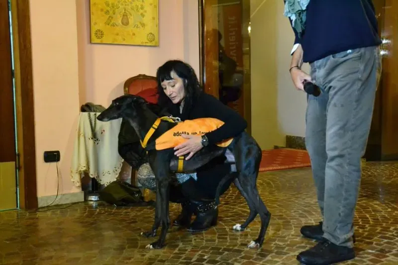 10348276 730087573741767 3948204178099409639 n