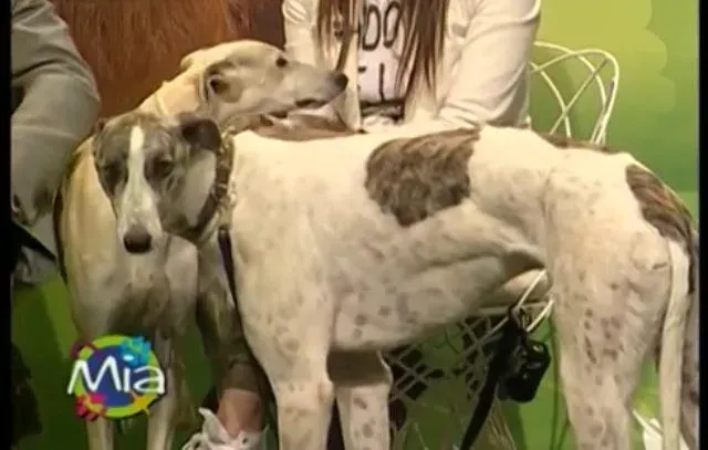 10348530 10202437667915409 2843090651826814719 n