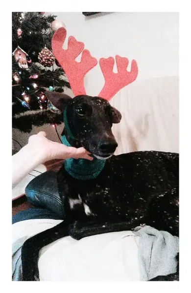 10348540 10208373125030472 3334881901276209032 n