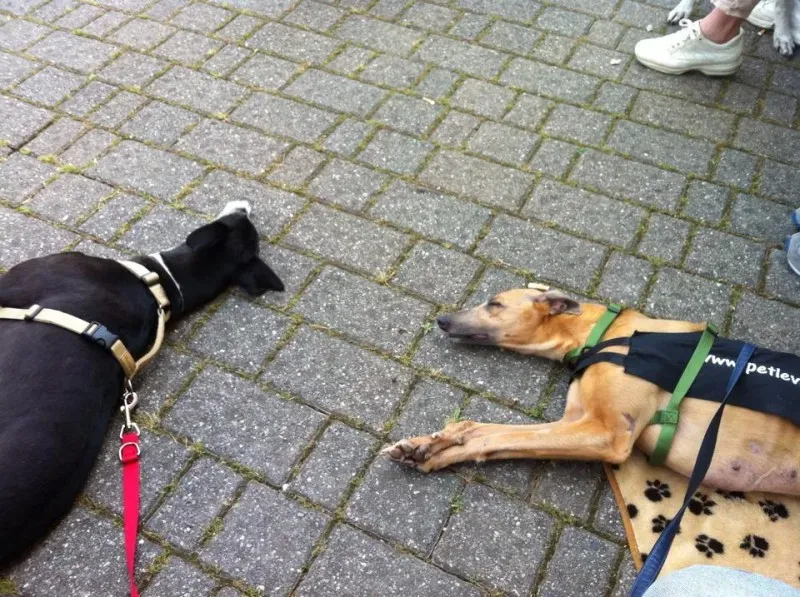 10349136 10201960393638055 6499042734616581252 n