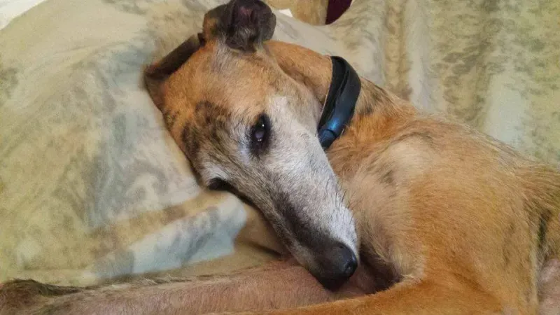 10349146 933946676689188 5993657870777970748 n