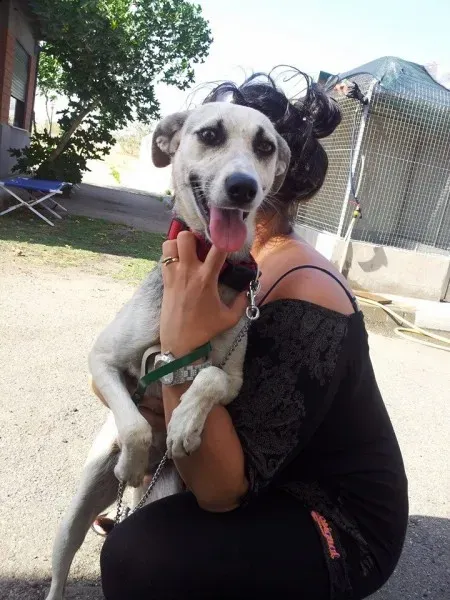 10350636 10203781274124749 8055581132923210647 n