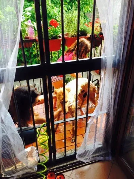 10351016 852141704877434 3105629772774523280 n