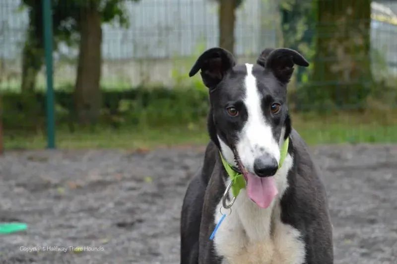 10351459 557320874376225 663313955552857976 n