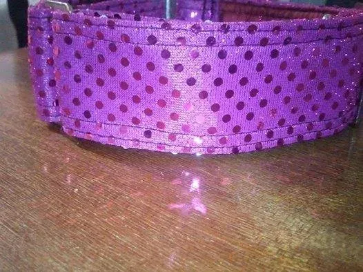 10351671 723997937684064 2707868916780549430 n