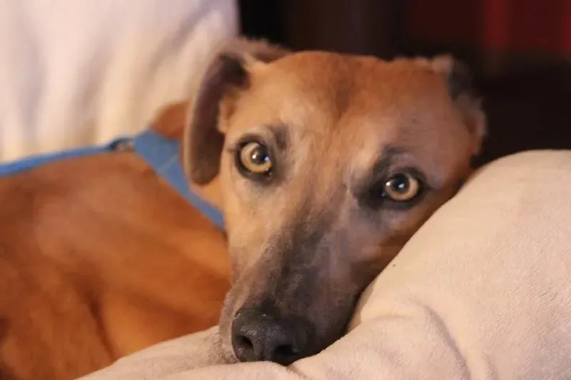 10351975 10200997457898320 6037485170266891802 n