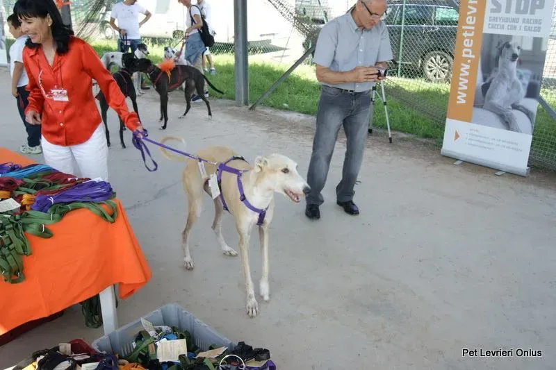 10352262 697612746989250 1580624006329867697 n