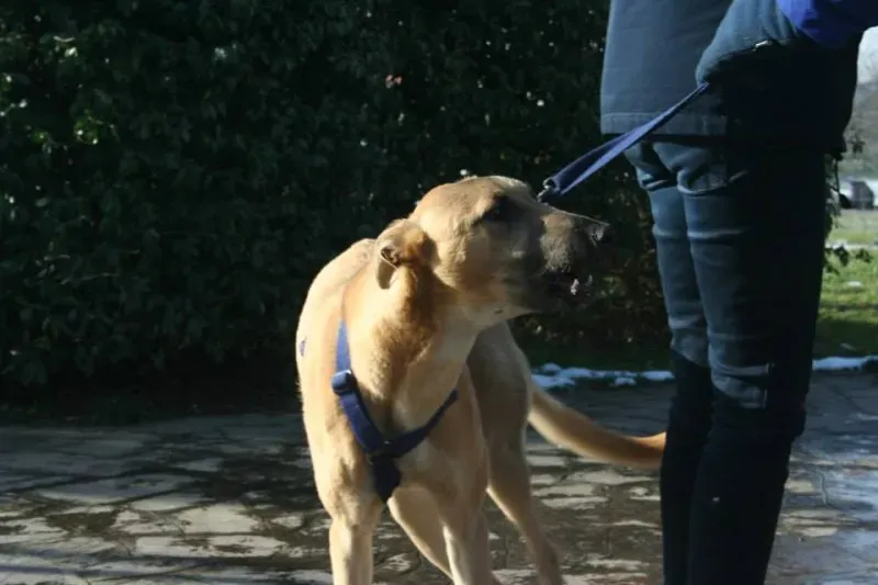 10352277 772119492871908 2172667125277749259 n