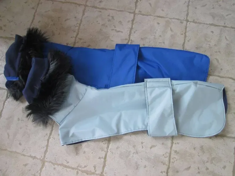 10353109 724003714350153 839376402198359857 n