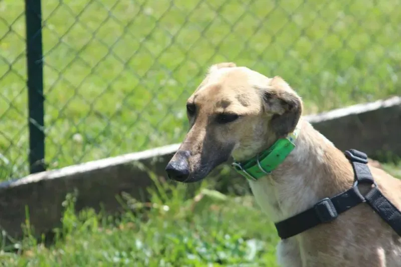 10353655 640700706013788 4795173532570402759 n