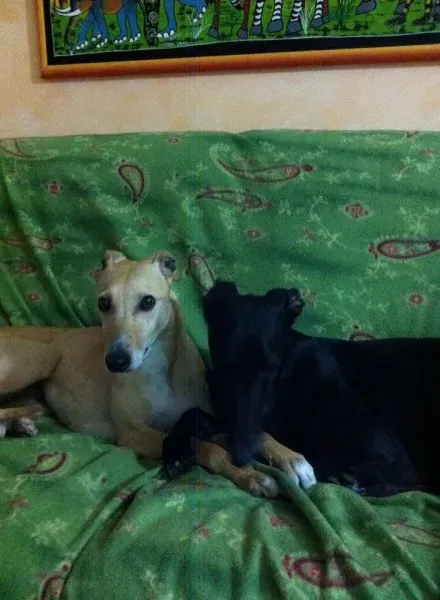 10354817 10202980552456765 4131549062145971361 n