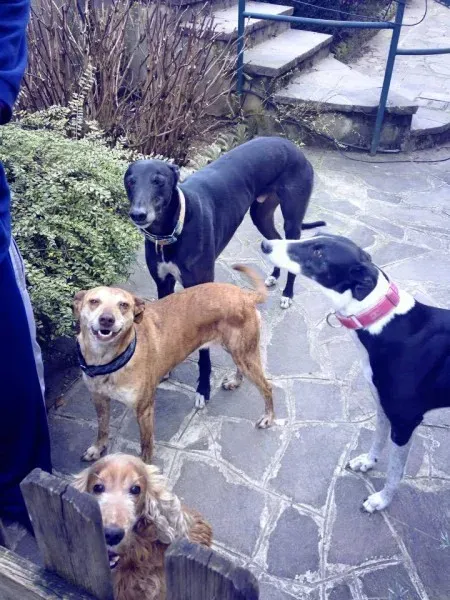 10355744 791910847559439 6520546074252225909 n