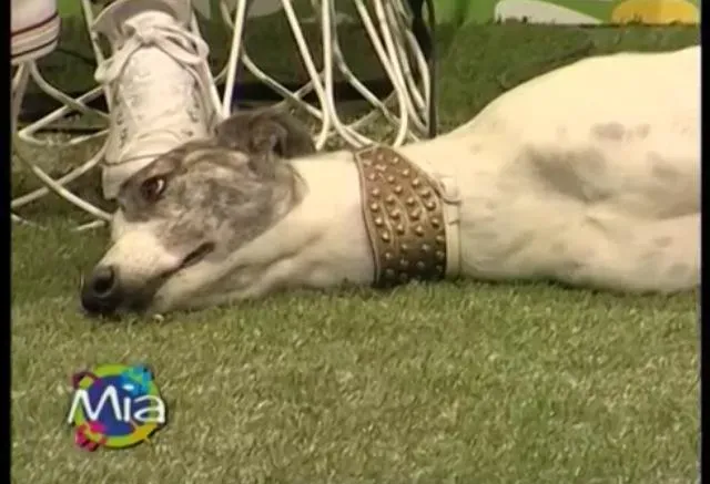 10356356 10202437669755455 356737240715374394 n