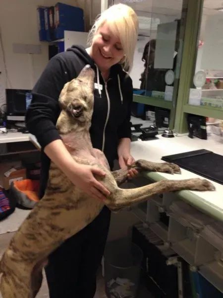 10356722 943074969059953 7936898577697682237 n