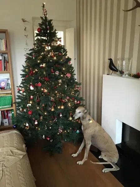 10361312 10206044939462404 6506616560097513124 n