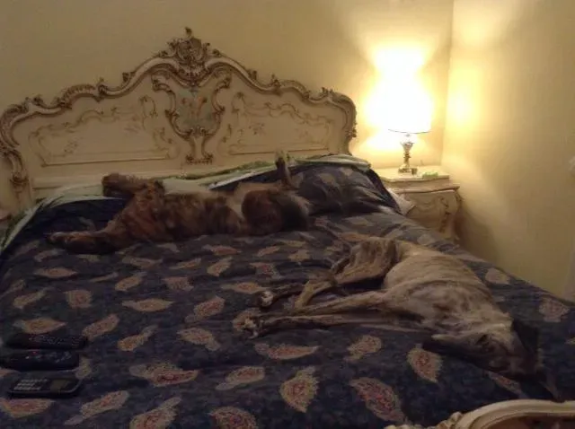 10363363 1455658061357699 1443545680911444640 n