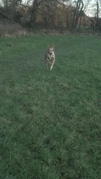 10363738 10204673574412832 2509158183891189116 n